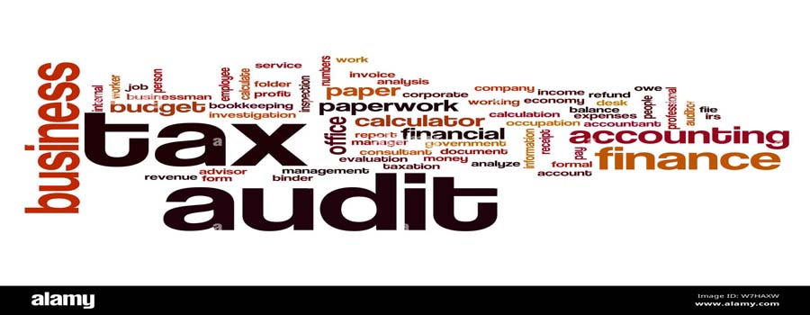 Tax Audit